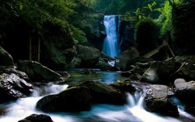 Ein Traum vom Jungbrunnen – Essence of Life.